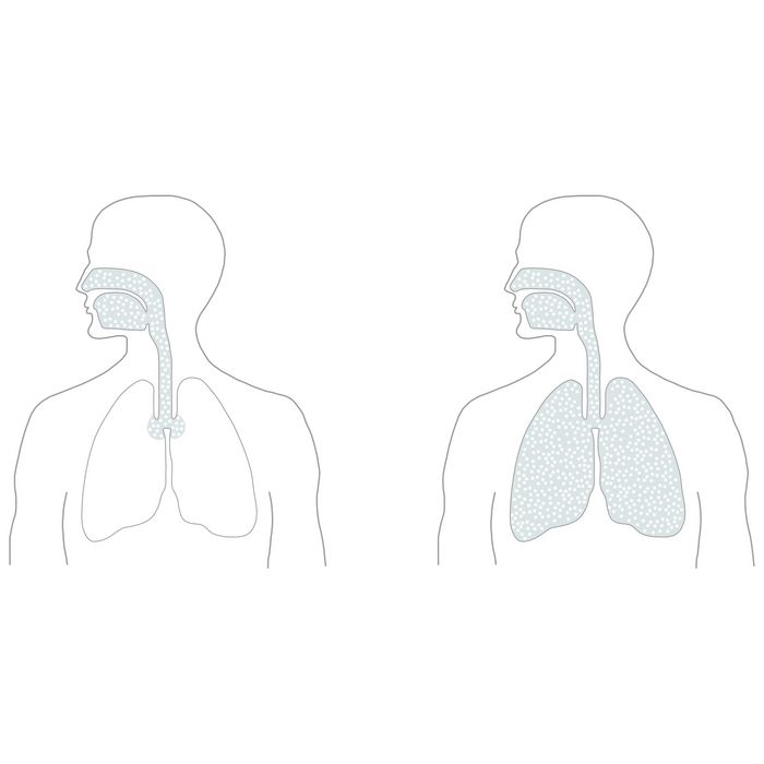 深度渗透后，空气的含盐量。左：传统技术，右：Microsalt。