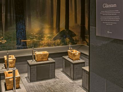 Sauna-, Spa- und Wellness-Referenzen: Quality Hotel Frösö Park, Caldarium